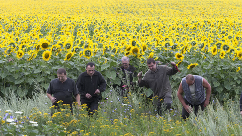 MH17 crash, Ukraine, AP bbc.in/1wCyp5w