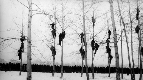 People in Trees, Mikola Gnisyuk bit.ly/1pkjWey