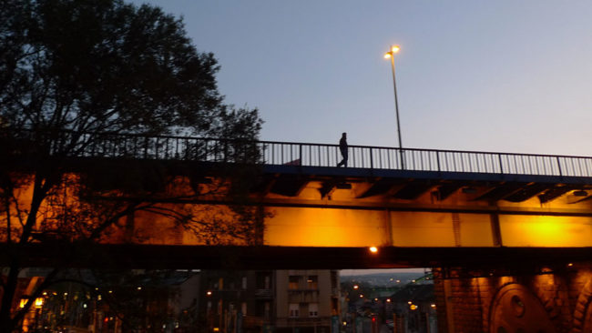 Foto: Predrag Trokicić