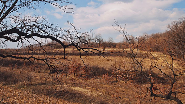 pusto polje
