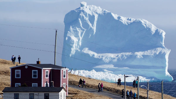 Njufaundlend, Kanada, foto: Jody Martin/Reuters